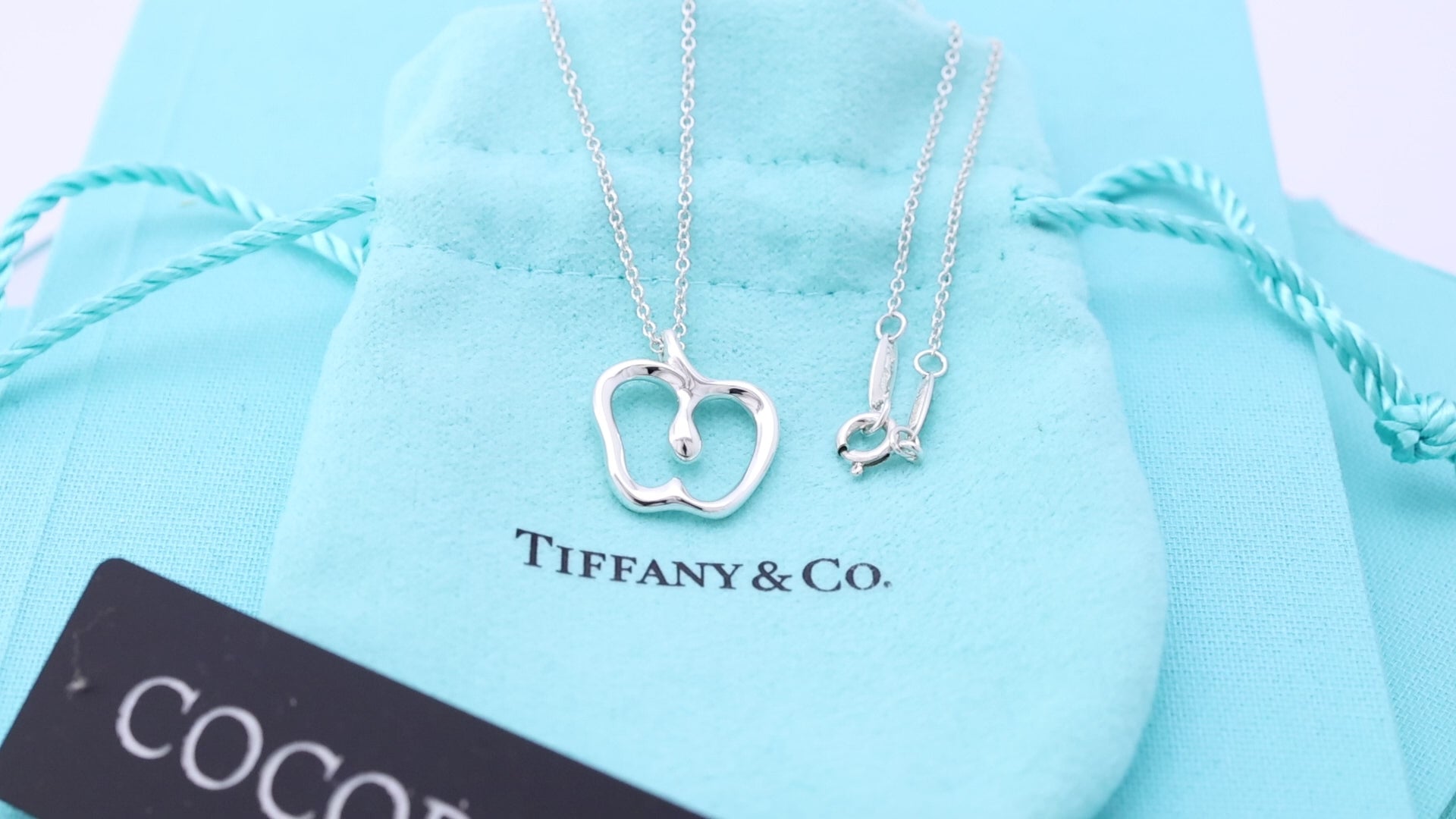 Tiffany & Co. Peretti Apple Necklace Pendant  Sterling Silver 925 