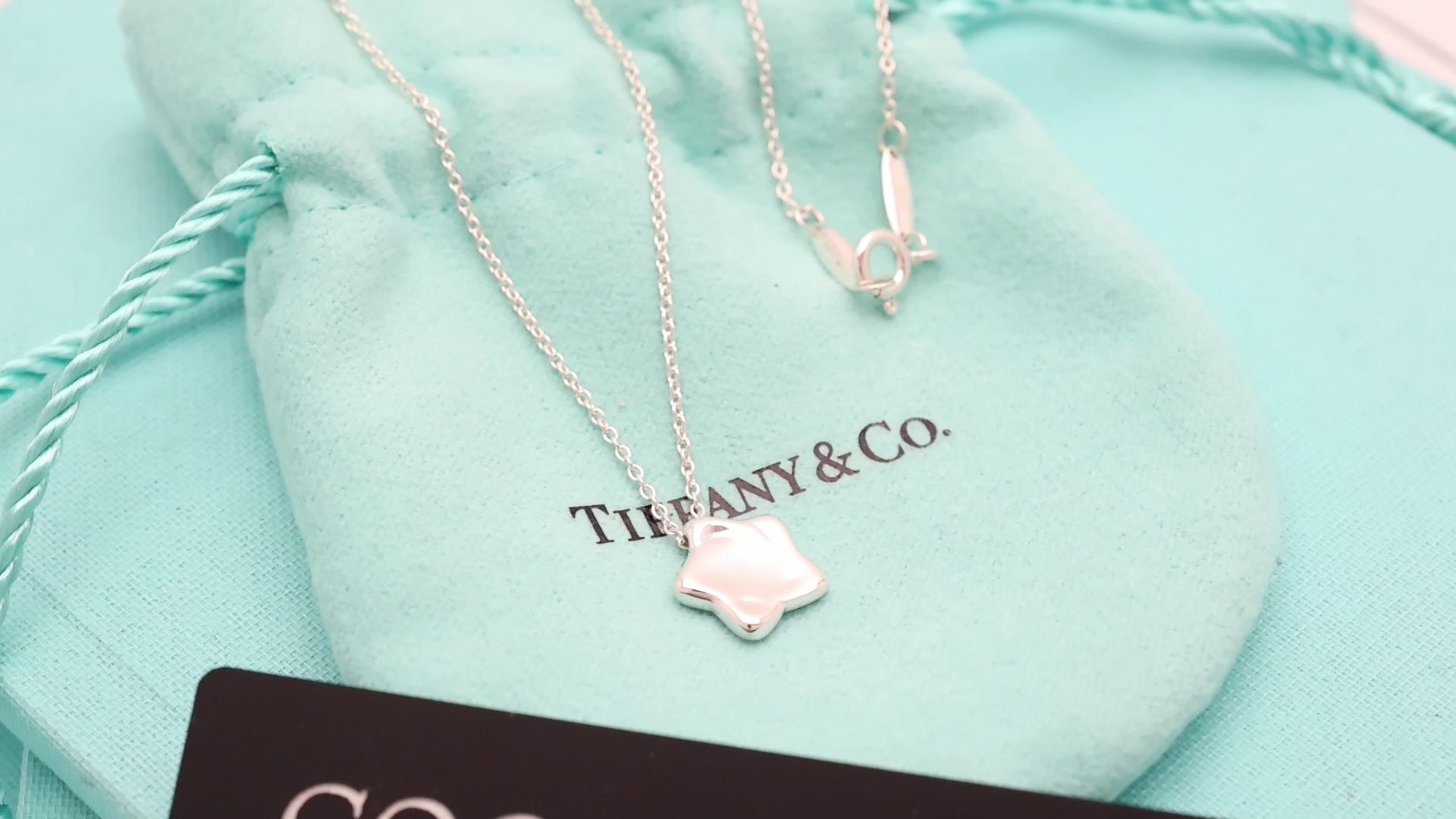  Tiffany & Co. Peretti Star Pendant Necklace Sterling Silver 925 