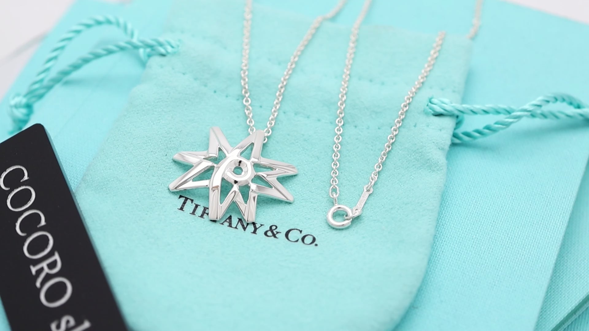  Tiffany & Co. Picasso Volume Star Necklace Sterling Silver 925