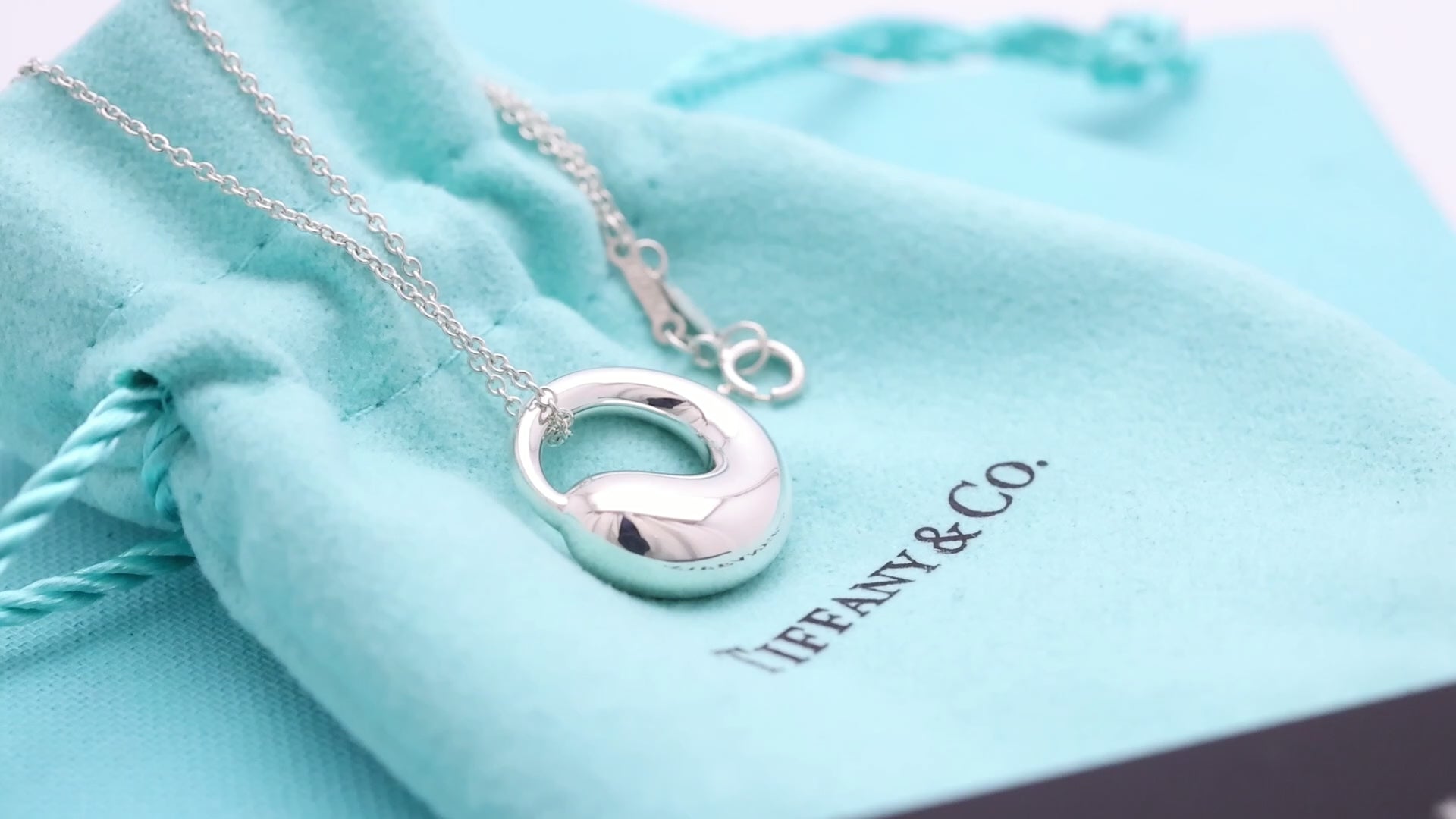 Tiffany & Co. MEDIUM Eternal Circle Necklace Sterling Silver 925 