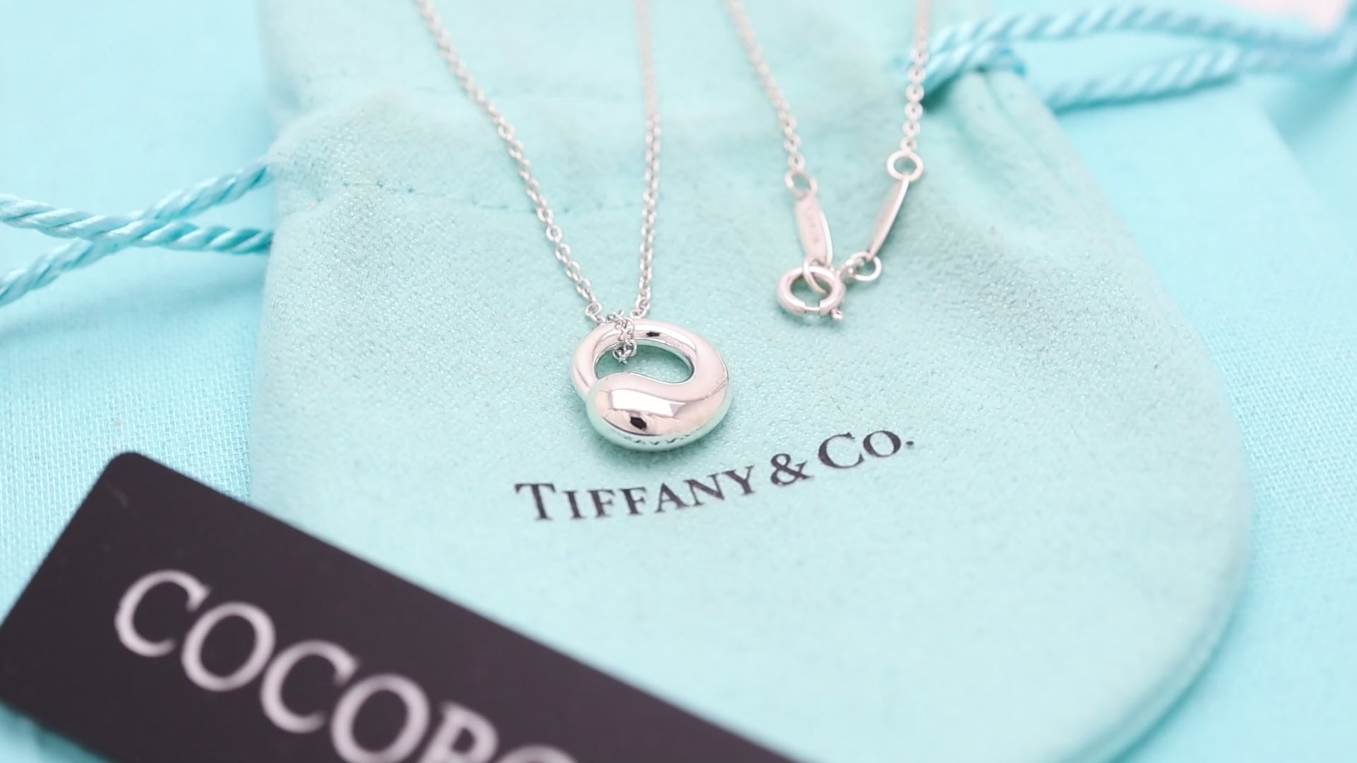 Tiffany & Co. MEDIUM Eternal Circle Necklace Sterling Silver 925 