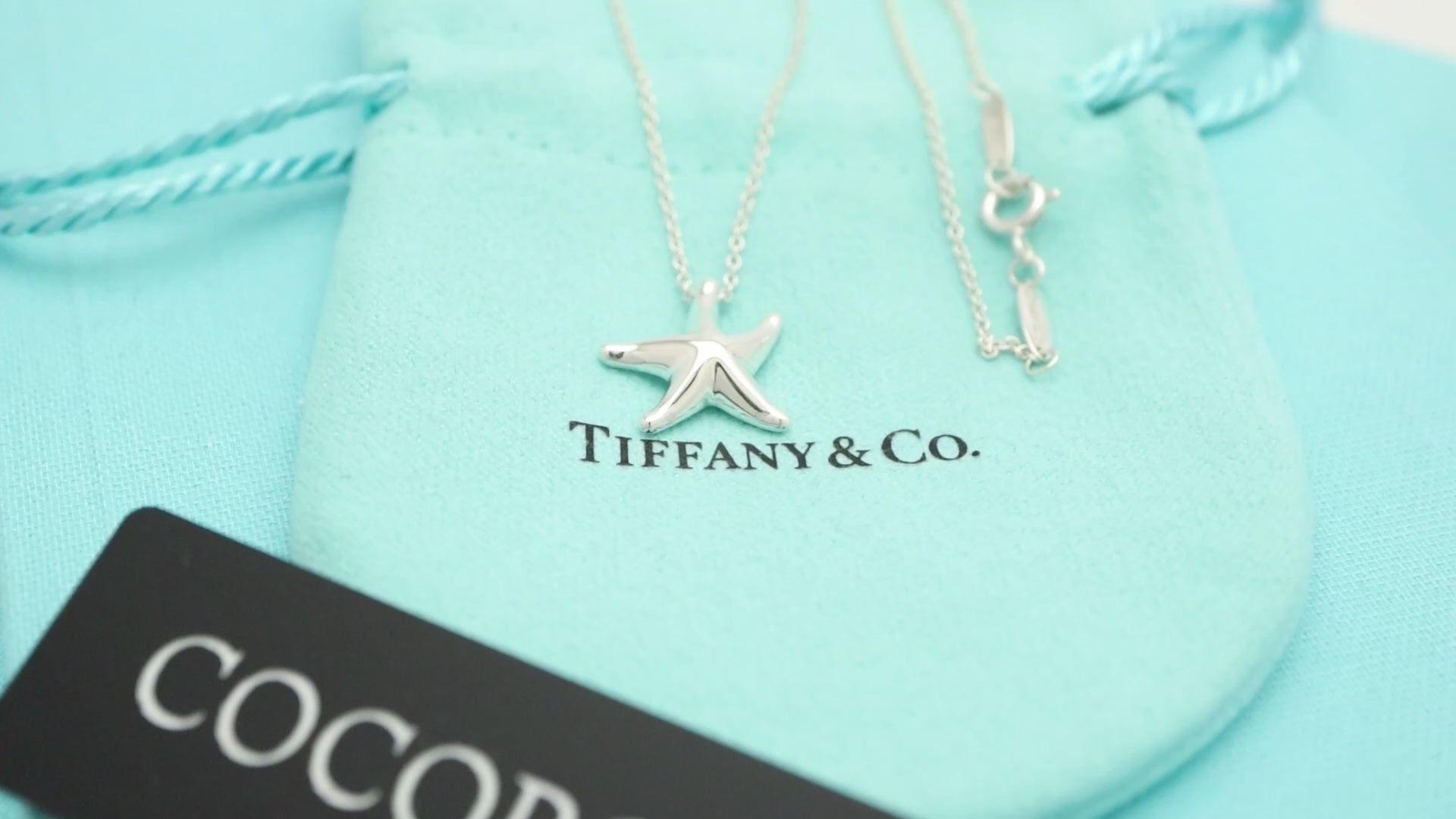 TIFFANY&Co. スター フィッシュ エルサペレッティ ネックレス AG925