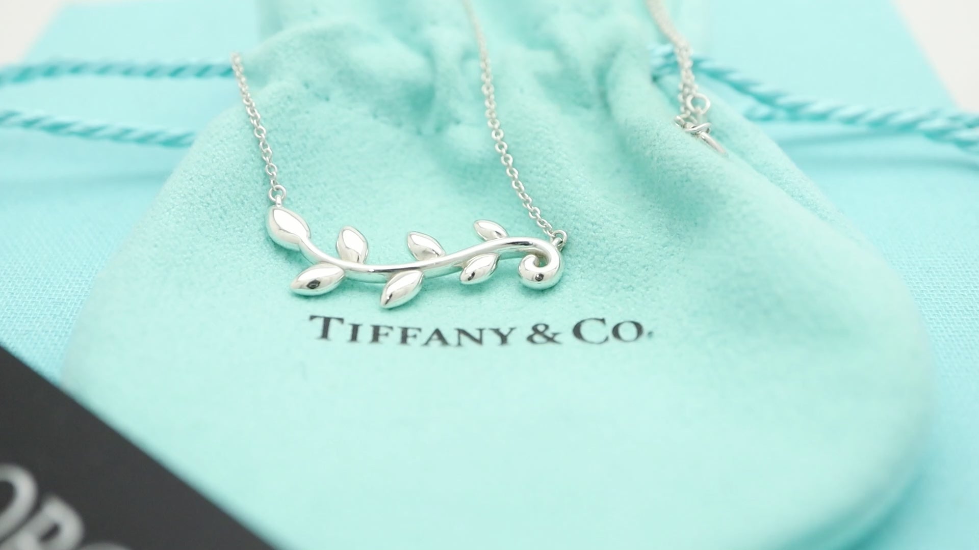Tiffany & Co. Picasso Olive Leaf Vine Necklace Sterling Silver 925