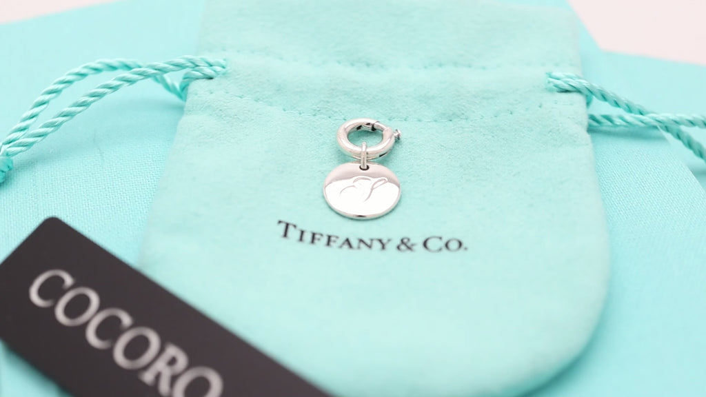 Tiffany & Co. Notes Letter S Disc Round Pendant Charm Sterling Silver 925