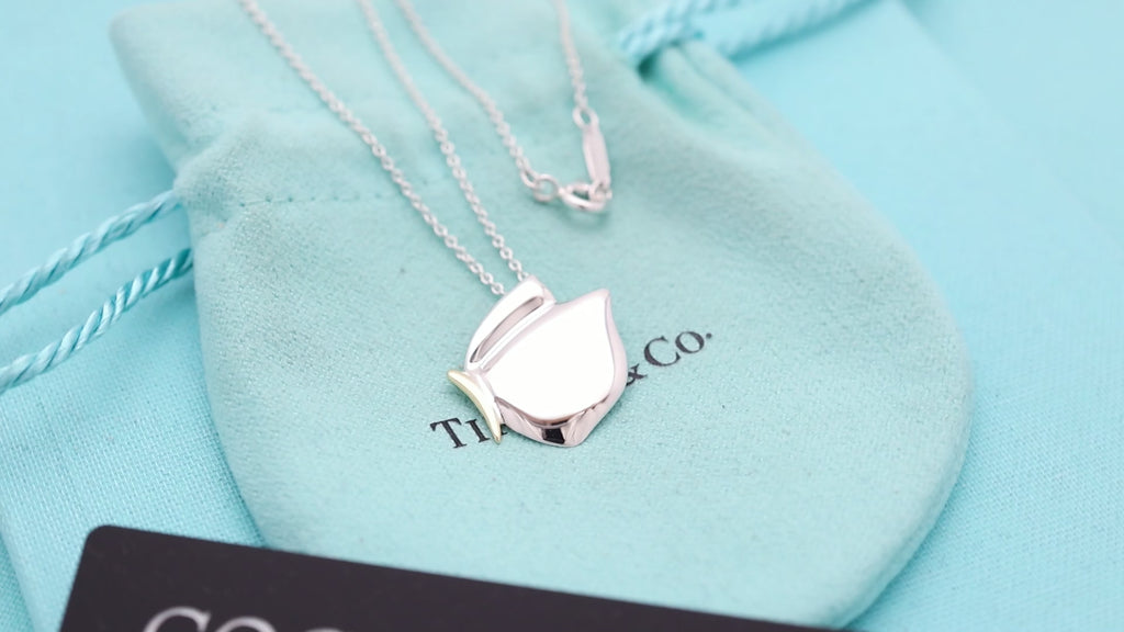 TIFFANY&Co. 蝶 バタフライ コンビ ネックレス AG925 AU750