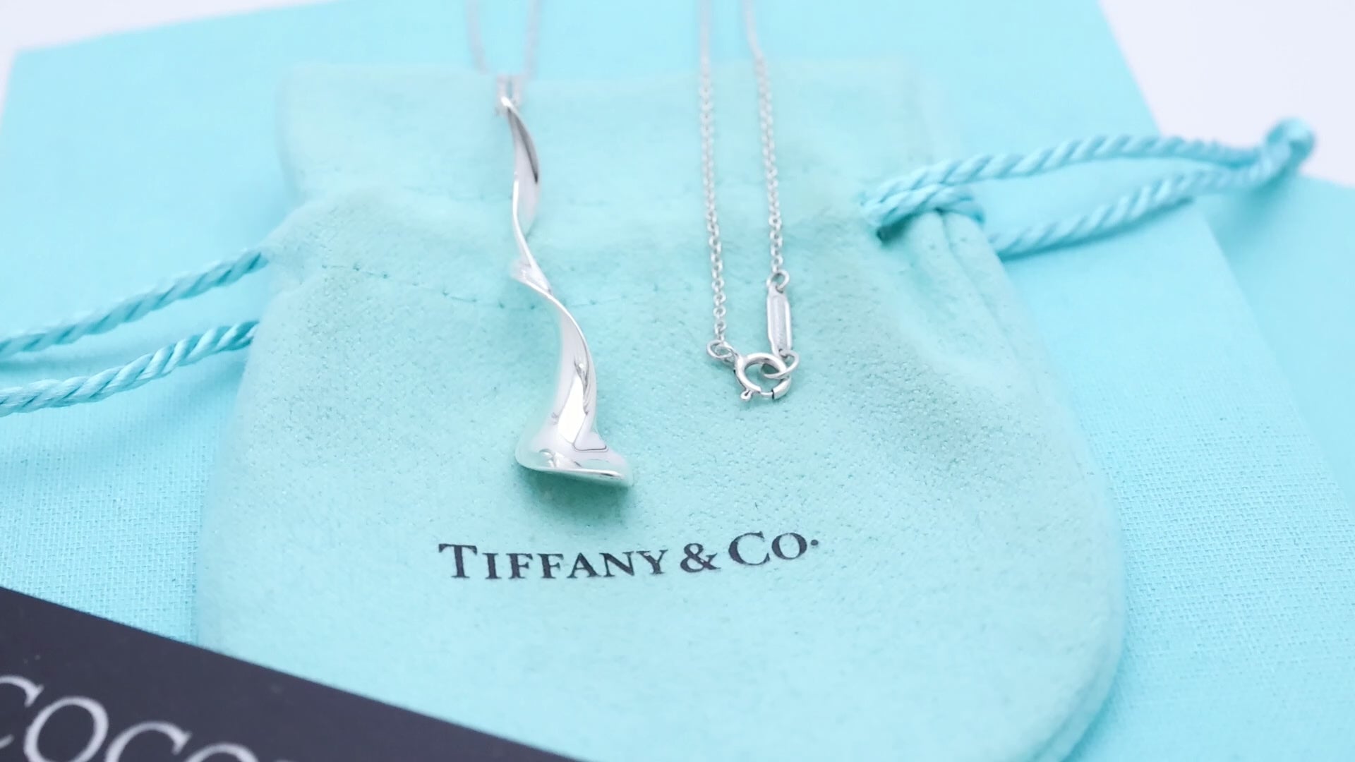 Tiffany & Co. Frank Gehry Orchid Drop Pendant Necklace Sterling Silver 925